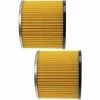 Vhbw 2x Filtre Compatible Avec Scheppach HA1000, HD040, UG700, UG710 Aspirateur à Copeaux